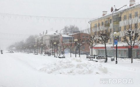 «Снова плюс»: в Йошкар-Оле ожидается потепление
