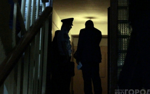 «Опять пришла в таком состоянии»: жительница Марий Эл пырнула ножом невестку