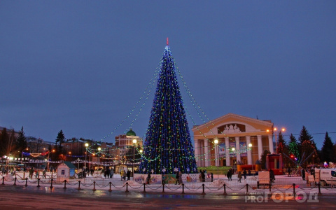 «Обновка»: что за елка будет украшать Новый год в Йошкар-Оле