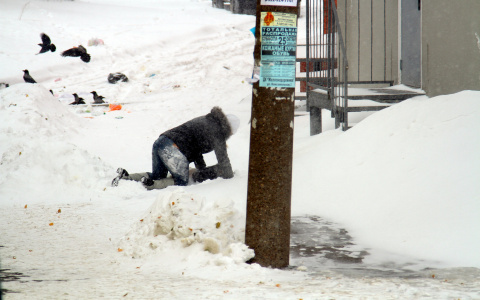 Стало известно, куда жаловаться йошкаролинцам на гадость на дорогах