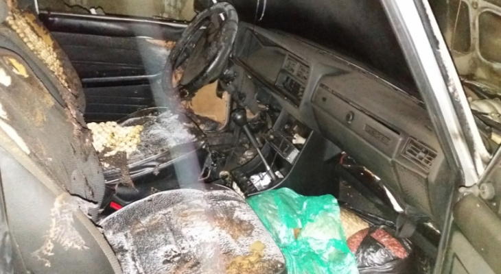 Поджог в Йошкар-Оле: около авто лежала банка с горючим
