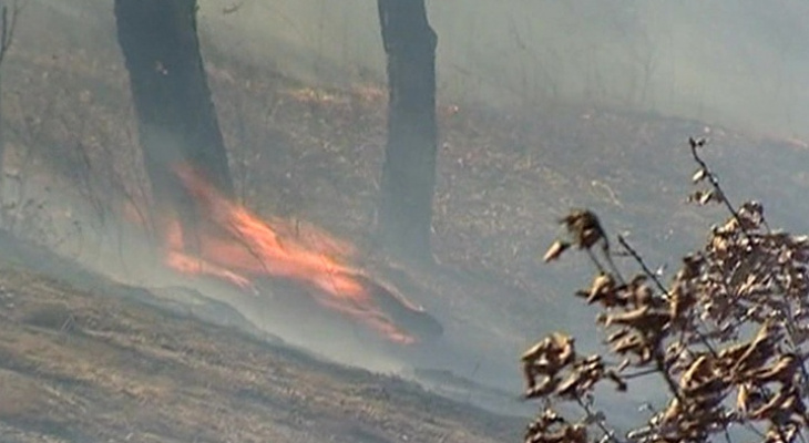 В Приамурье на тушении пожара пропал огнеборец из Марий Эл
