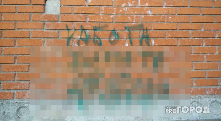 Стены домов в Йошкар-Оле призывают заниматься непристойными вещами?
