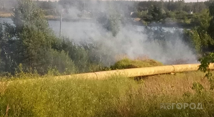 Осторожно газовая труба: в Йошкар-Оле вблизи озера подожги траву