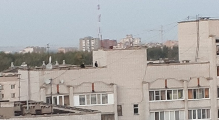 В Йошкар-Оле на крыше, откуда упала девочка, продолжают гулять подростки
