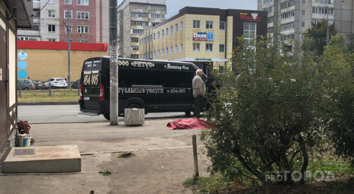 Остановки йошкар ола. Остановка Петрова Йошкар Ола. Остановка Пушкина Йошкар-Ола. Остановка ул Петрова Йошкар Ола. Труп в Йошкар-Оле на остановке.