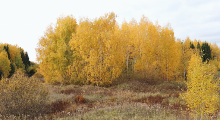 Бабье лето йошкар ола. Ясная осень. Бабье лето 2019. София зирина. Бабье лето йошкар ола.