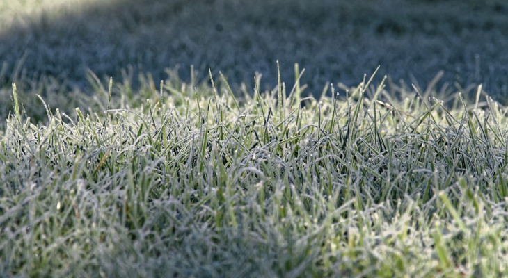 МЧС предупреждает: в Марий Эл ожидаются заморозки на почве