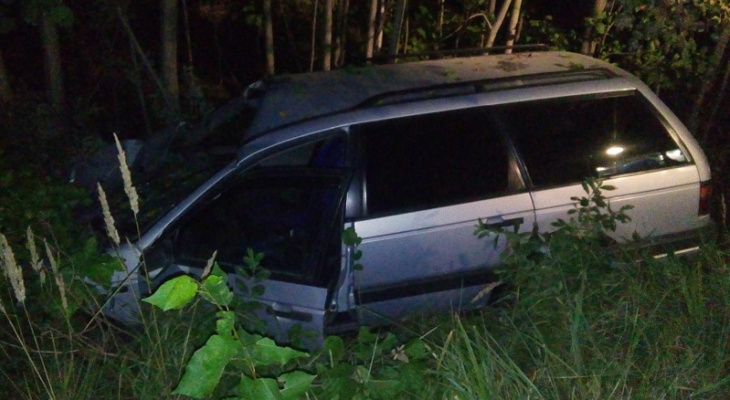 На трассе Йошкар-Ола – Козьмодемьянск водитель авто сбил парнокопытное животное