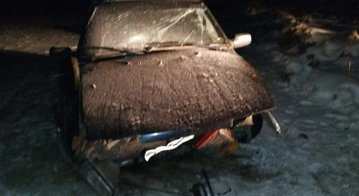 В Марий Эл пьяный водитель «пытался утопить» авто в Волге