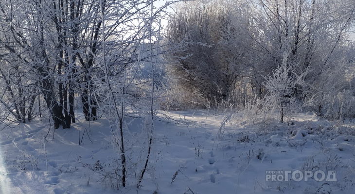 Первая неделя февраля в Йошкар-Оле обещает быть снежной и морозной