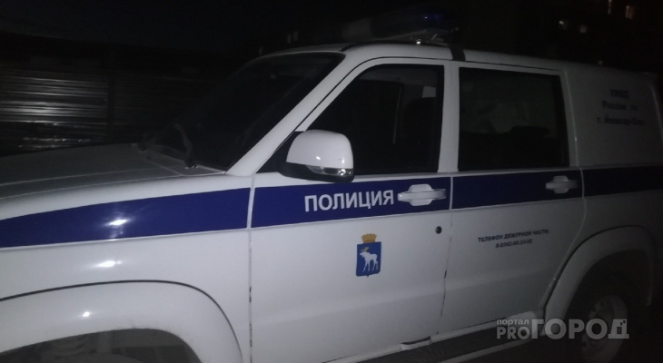 "7 лет тюрьмы за 1600 рублей": грабитель напал на старушку в Йошкар-Оле