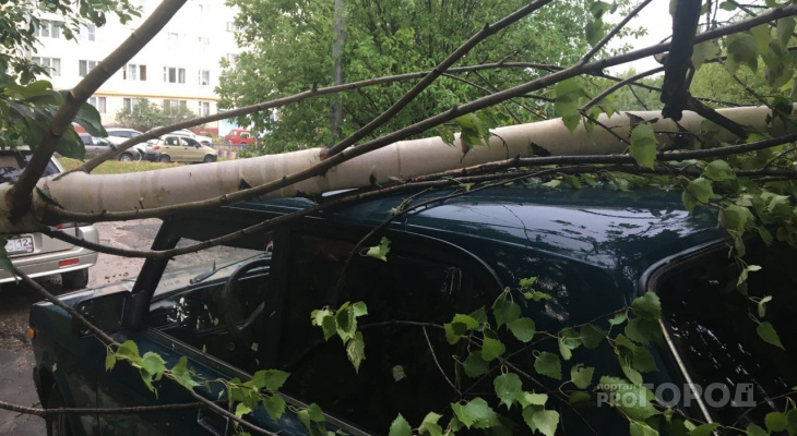 В Йошкар-Оле из-за сильной грозы, дерево упало на машину