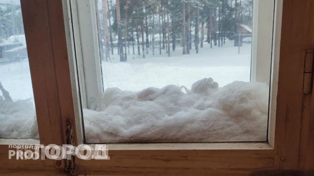 Из окон не дует даже в метель: эффективный предмет на подоконнике блокирует сквозняки и источает ароматы леса
