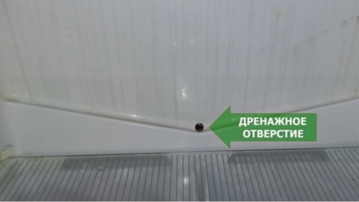 Продлит жизнь холодильнику в 2 раза: обычный предмет из аптечки творит чудеса