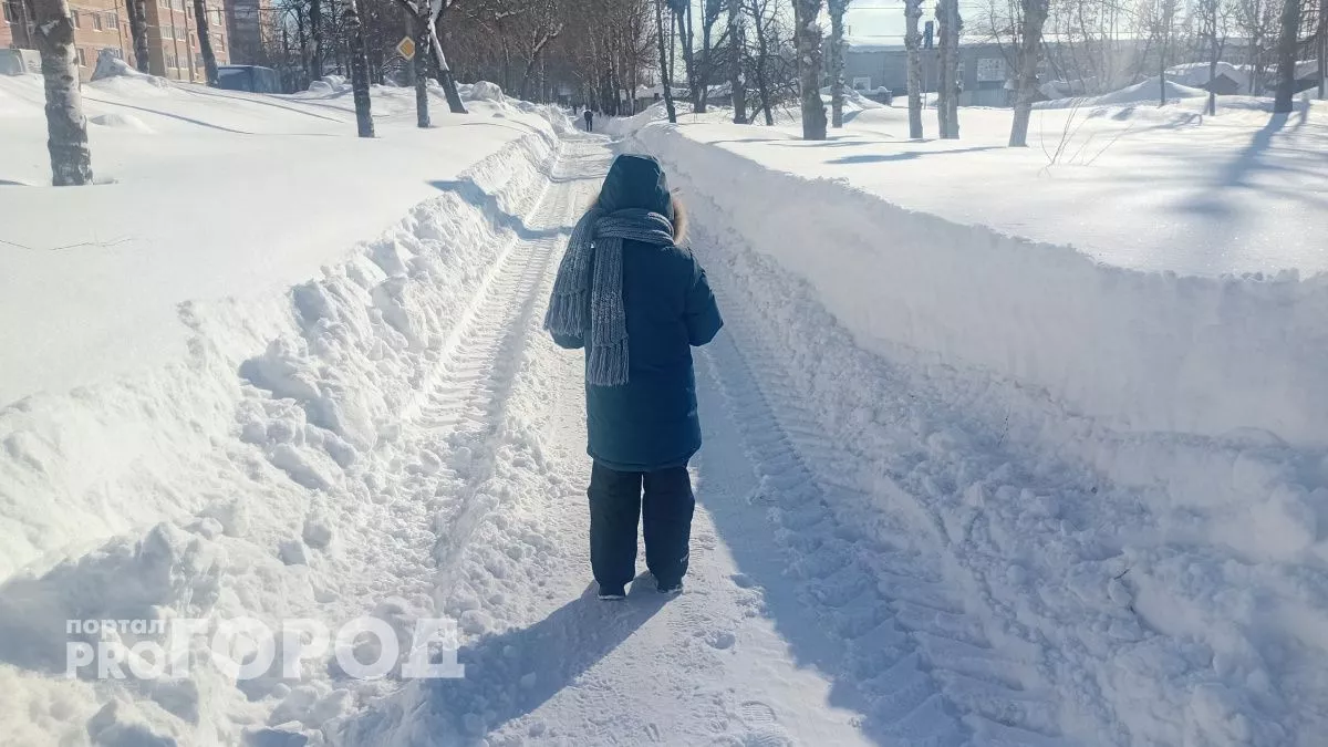 До -24 рухнет температура в Марий Эл в праздничные дни