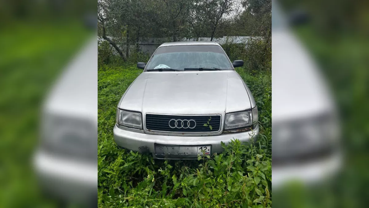 Жителя Горномарийского района заставят 200 часов работать бесплатно и отнимут Ауди