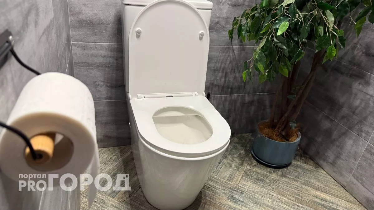 Ходить в туалет на унитаз больше не в моде: новый туалетный тренд скоро дойдет и до России