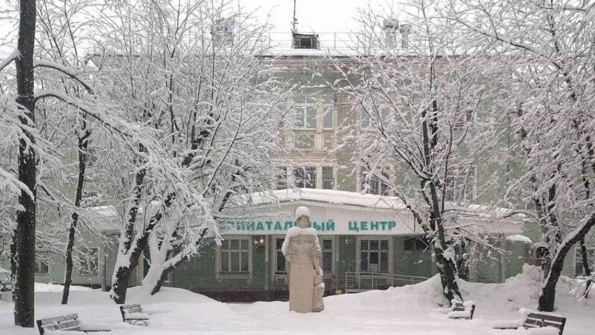 Роды принимают 24/7: что закрыто в Перинатальном центре на праздники