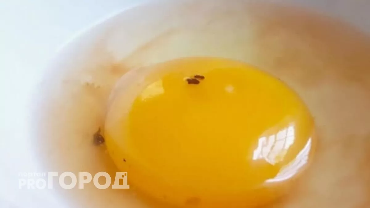 Темное пятно в яйце больше не испортит завтрак — вот что нужно знать каждой хозяйке