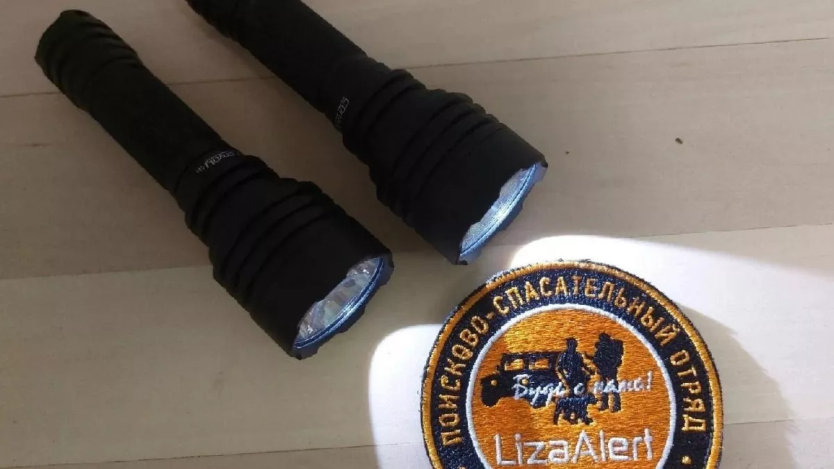 12 из 14 пропавших в Марий Эл нашли живыми