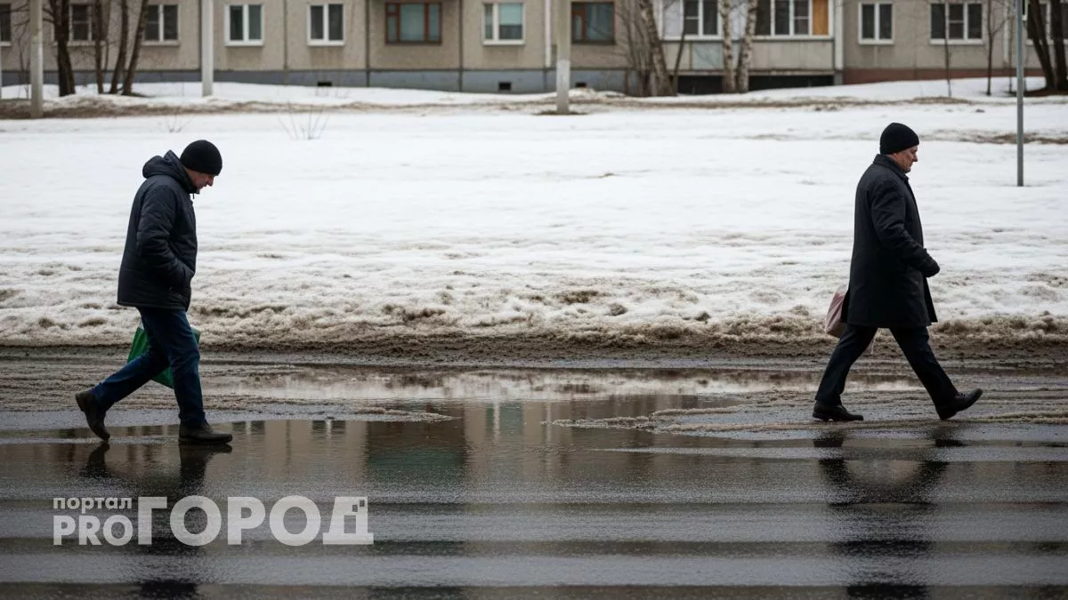 Метеорологи назвали три волны тепла которые уже через неделю растопят зимние морозы по всей России