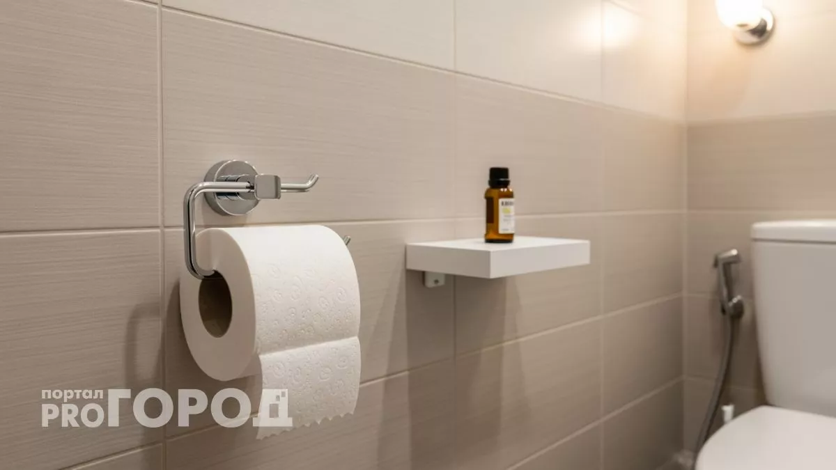 Втулка от туалетной бумаги превратит ваш санузел в оазис свежести дешевле любого магазинного спрея