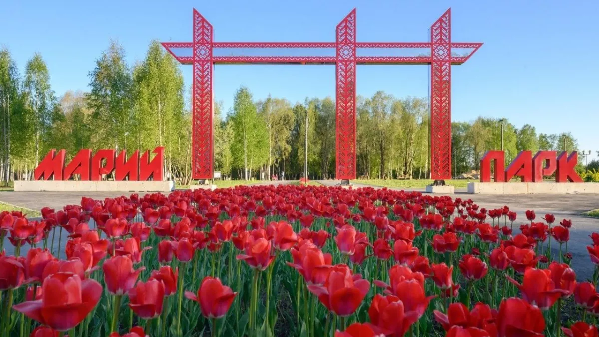 Марий парк из 63 000 претендентов прорвался в финал премии «Служение»