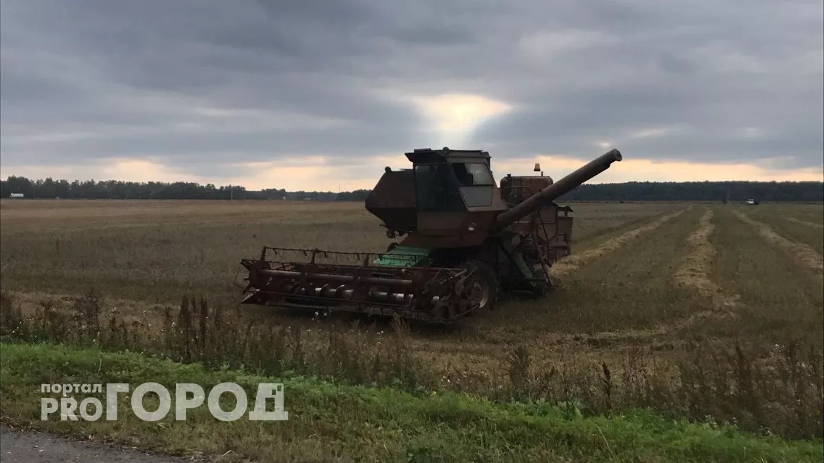 От Узбекистана до Сербии: Марий Эл продала за рубеж продуктов на 23,9 млн долларов