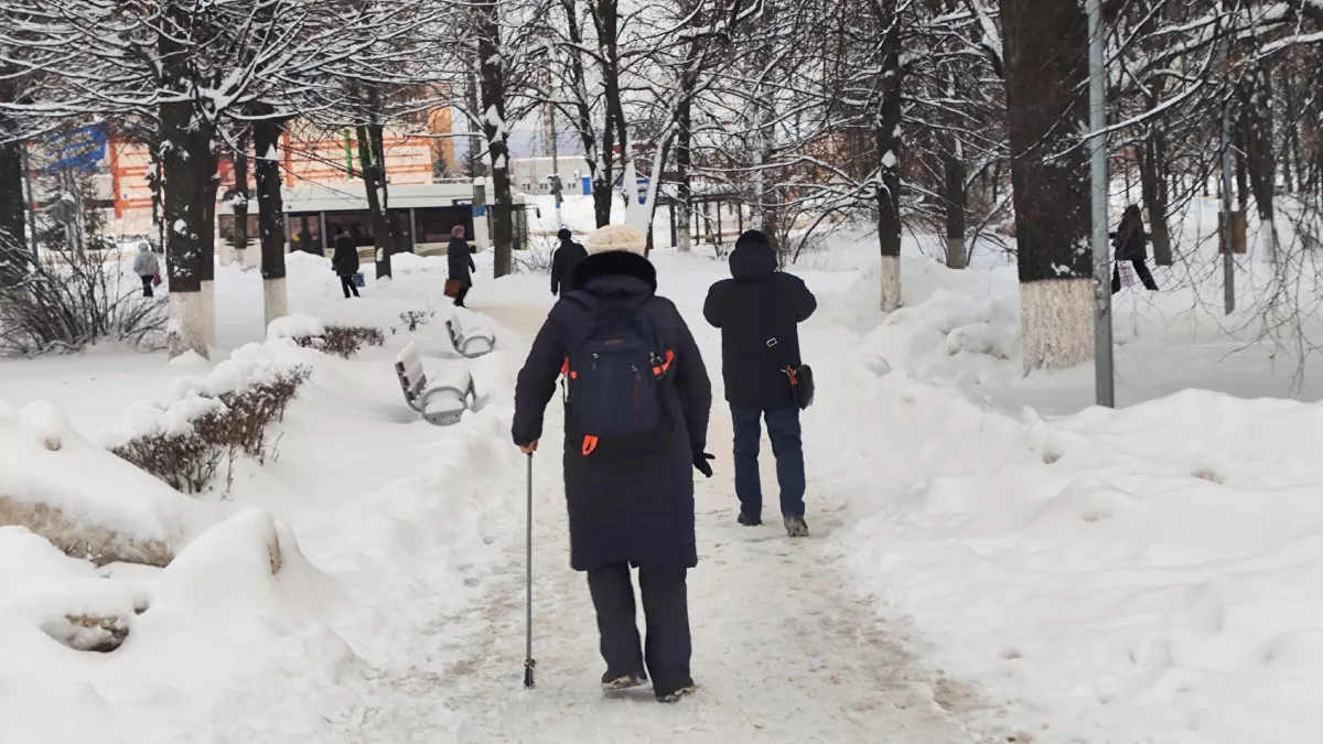 Начальников обяжут платить: эксперт раскрыла план по резкому повышению пенсий в России