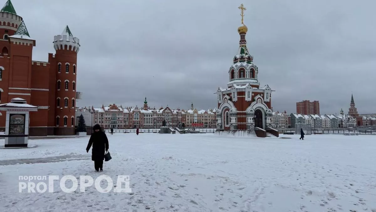 От сиделки до предпринимателя: как женщины в Марий Эл меняют профессию и открывают бизнес