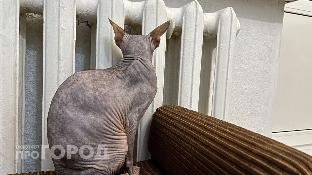 Японцы давно отказались от батарей отопления: новая система обогрева дома уже дошла до России и экономит 40% электричества