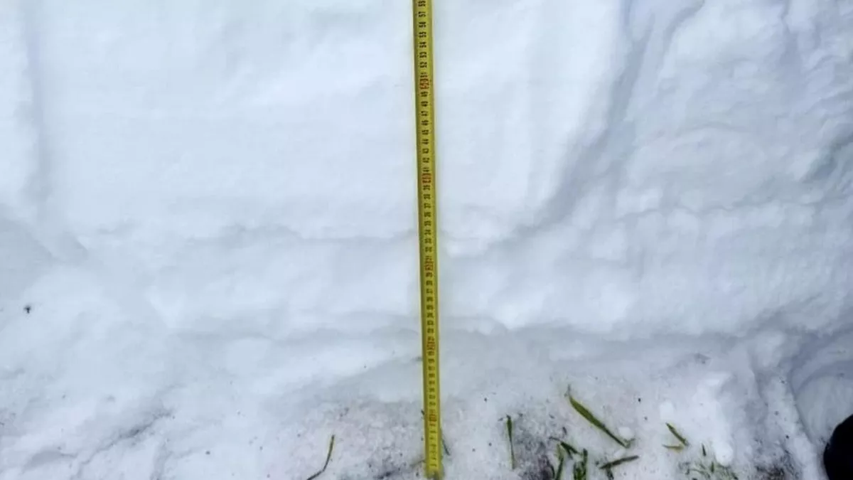 90-сантиметровый снег угрожает урожаю в четырех регионах ПФО
