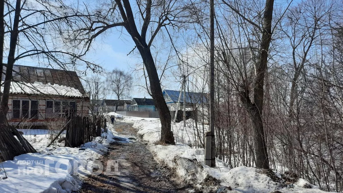 В Горномарийском районе нашли очаг бешенства