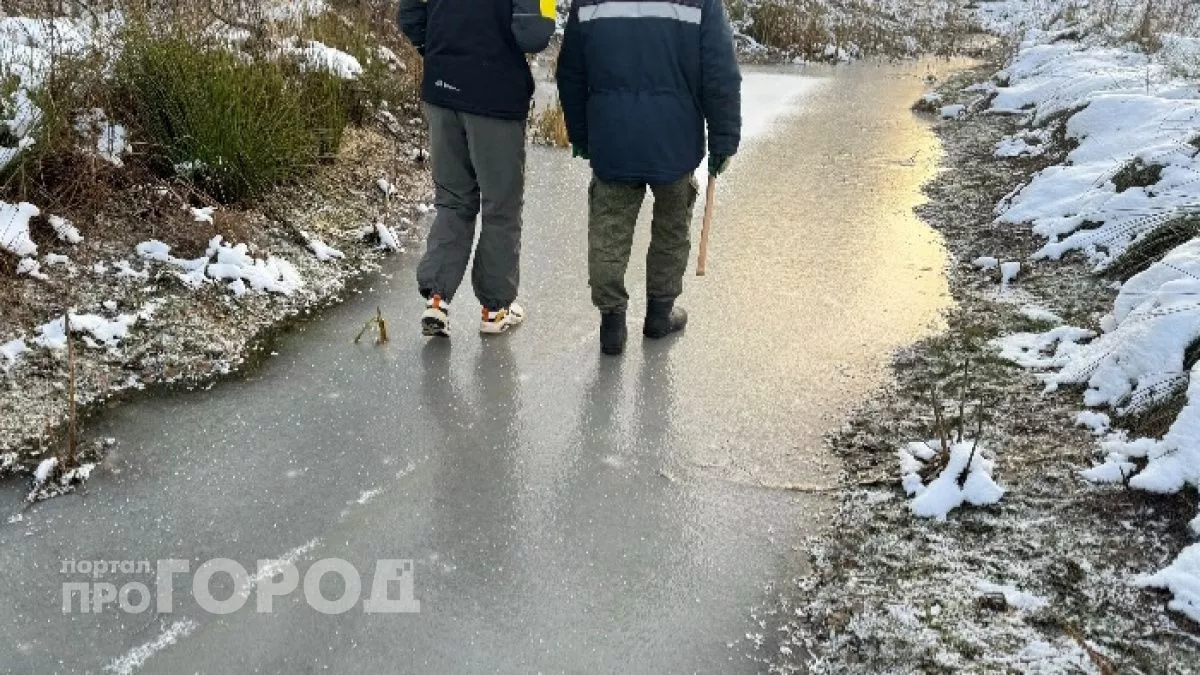 Три тысячи охотников отстреливали зверей в марийских лесах