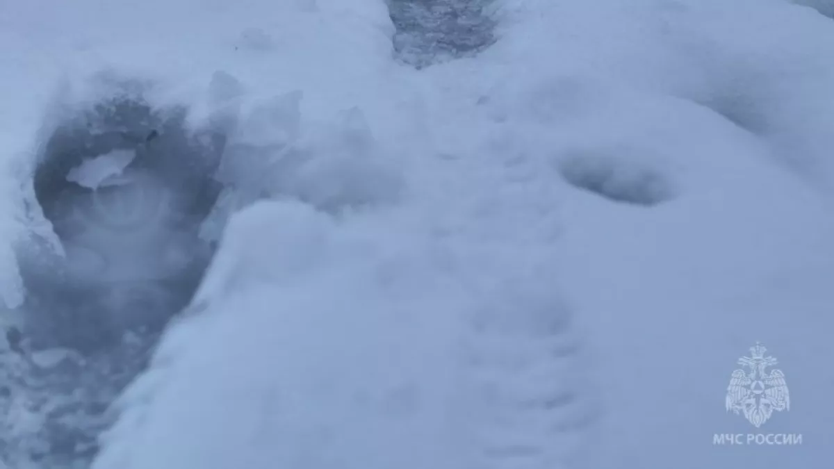 О главной весенней опасности предупредили в МЧС жителей Марий Эл