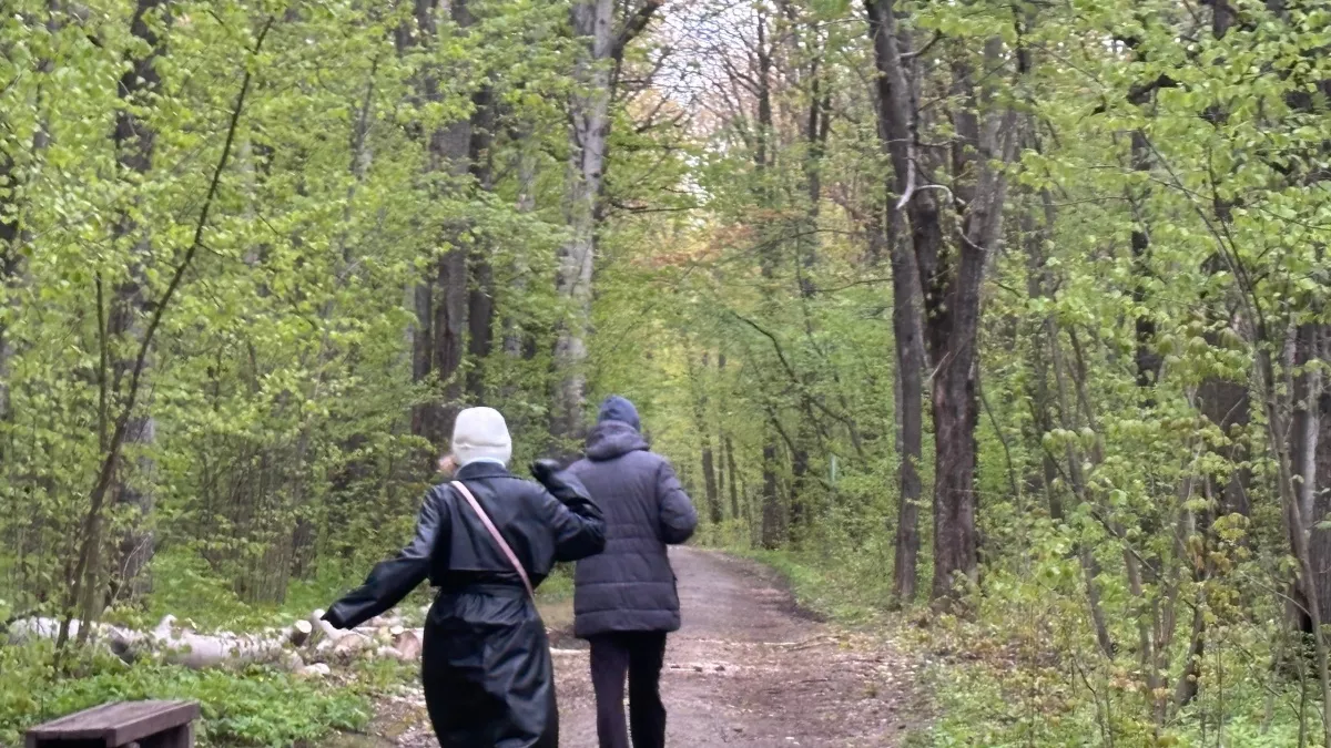 Не вздумайте ходить по таким тропинкам: невидимые монстры занимают их даже в городе