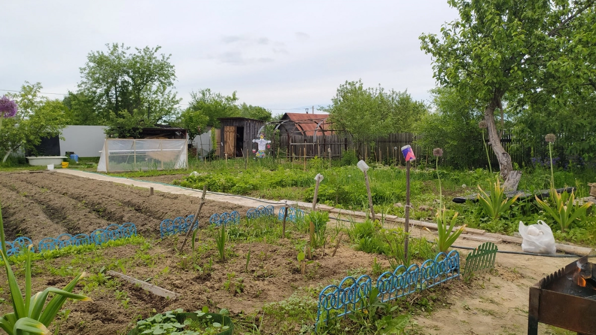 С 1 марта полностью запретили: за эти знакомые растения теперь огромный штраф