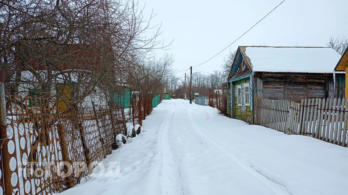 Переехал в село и понял почему молодежь бежит в города: дело не только в интернете