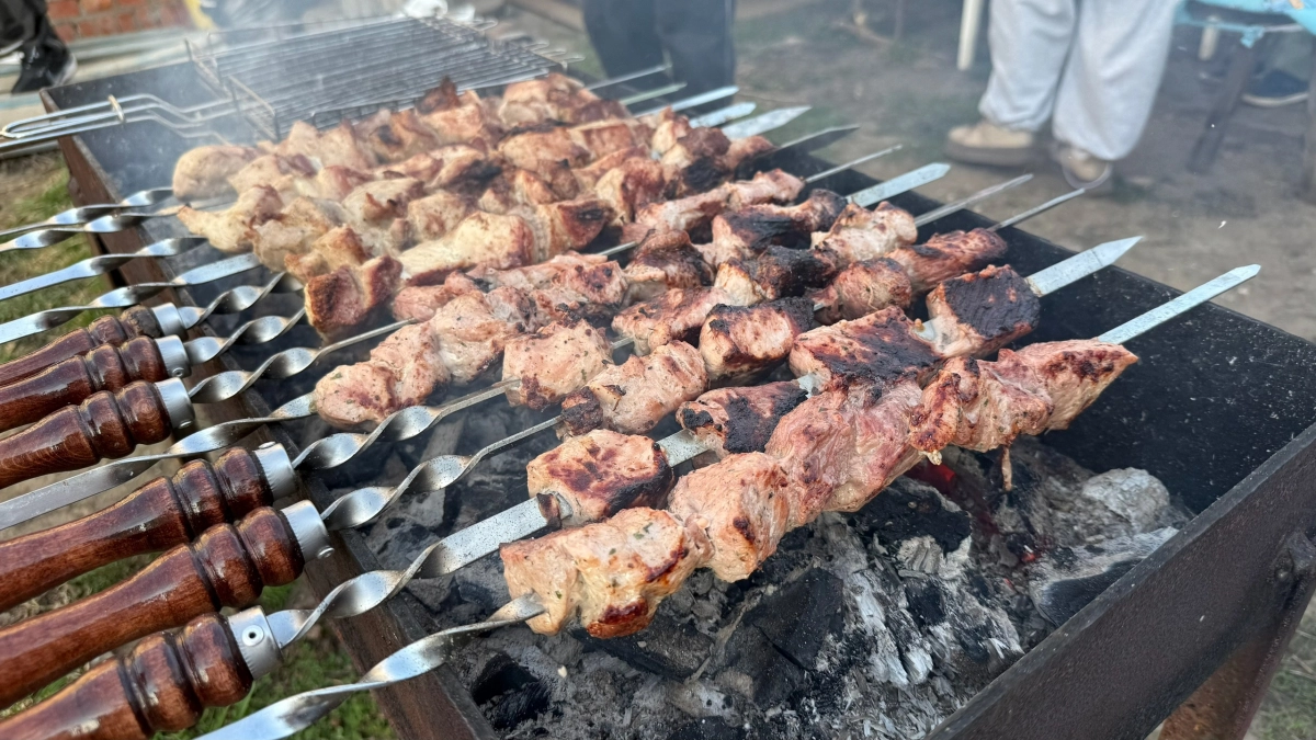 Штрафовать будут направо и налево: дачникам напрочь запретили жарить шашлык