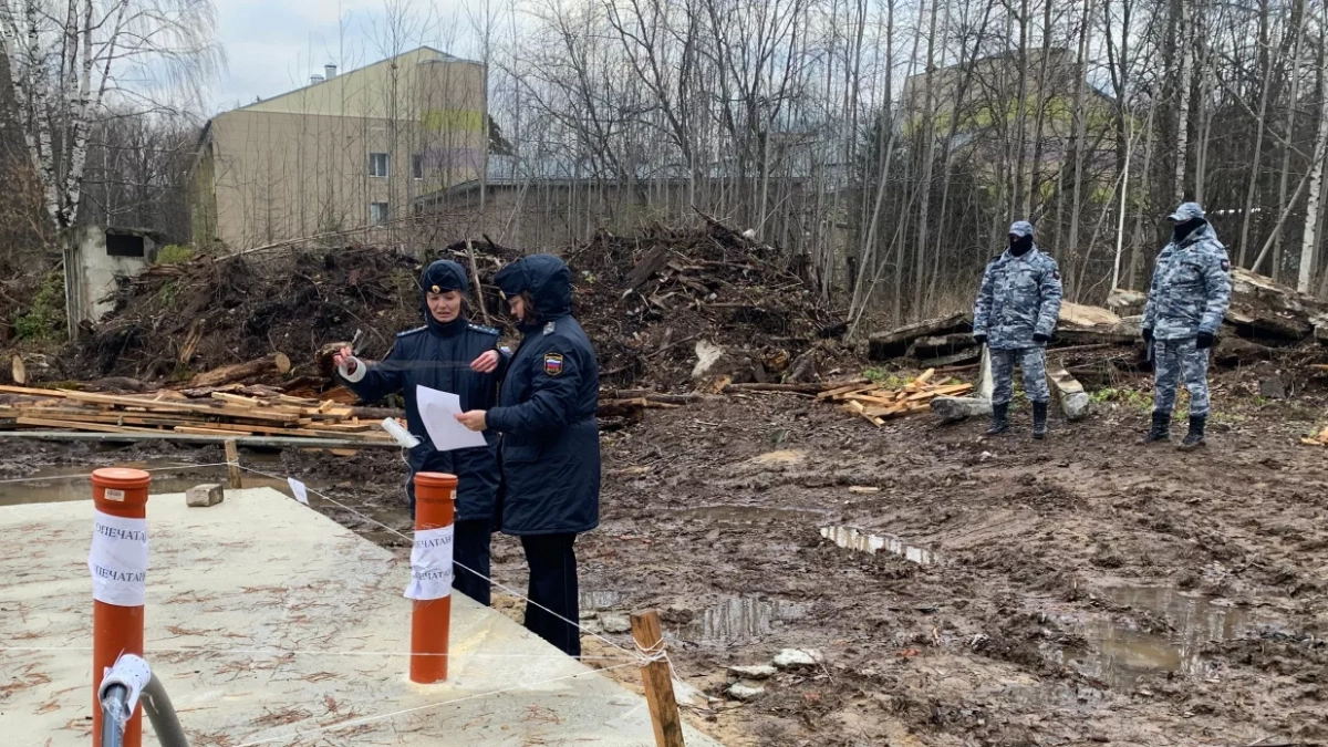 Суд изъял незаконно присвоенные участки в "Сосновой роще" в Йошкар–Оле
