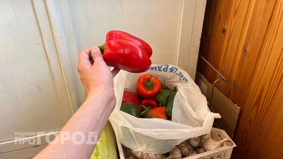 Рассада перца за копейки: трачу 27 рублей и выращиваю то, что в магазине стоит 2000