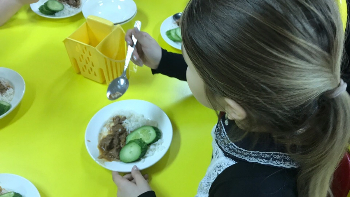 Дают в садиках и школах: ученые назвали самое вредное мясо из всех