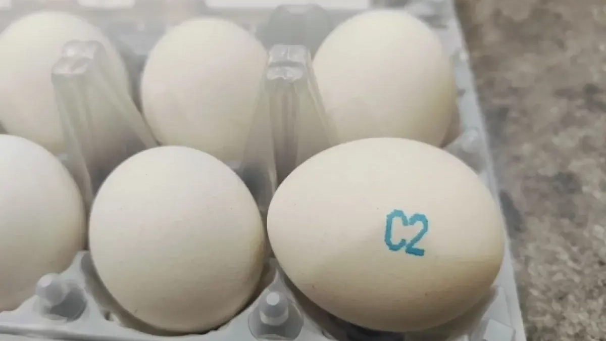 Яйца в Марий Эл подорожали на 13% за февраль