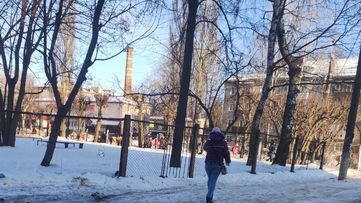 Контрабанду леса за границу на 670 тысяч провернула йошкаролинка