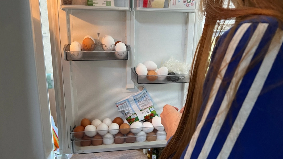 Специальный лоток в дверце холодильника: почему никогда нельзя класть туда яйца