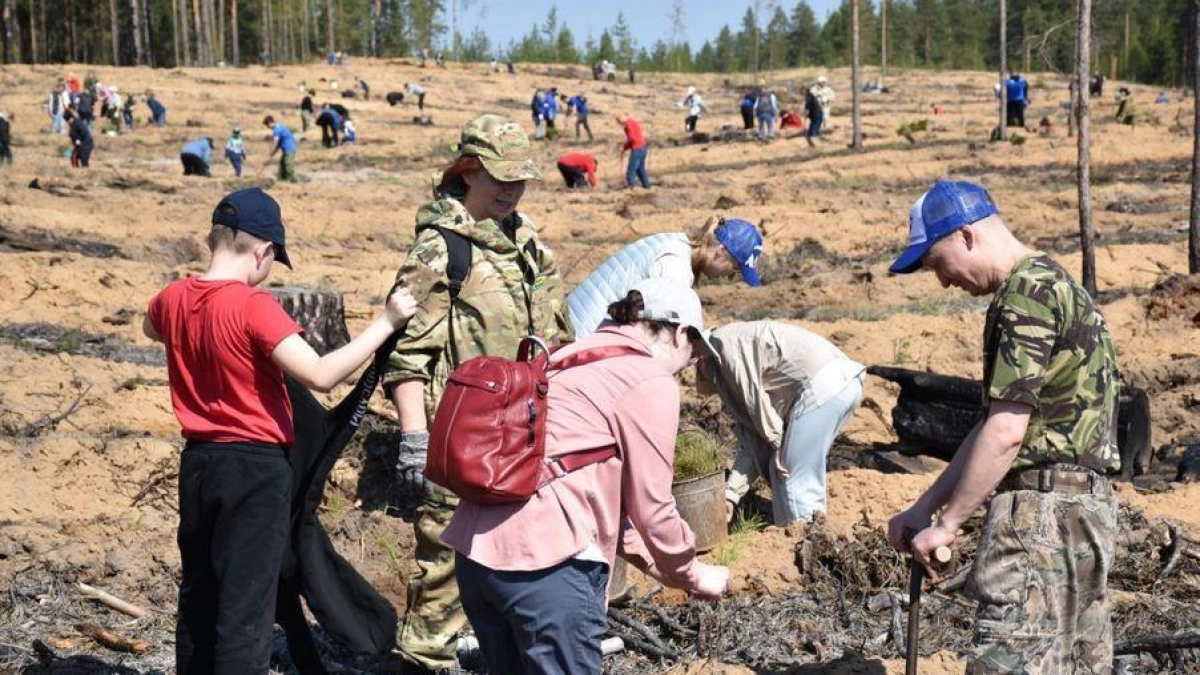 Марий Эл присоединяется к всероссийской акции экологической защиты