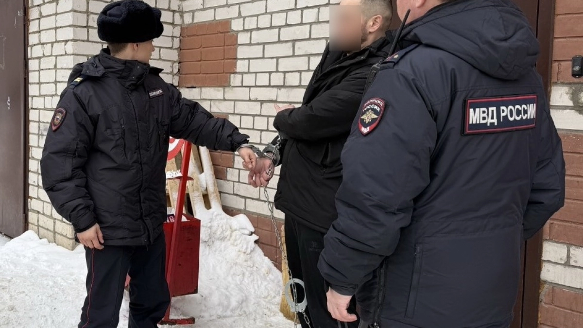 Наркодилера с 600 граммами запрещенных веществ схватили в Йошкар-Оле