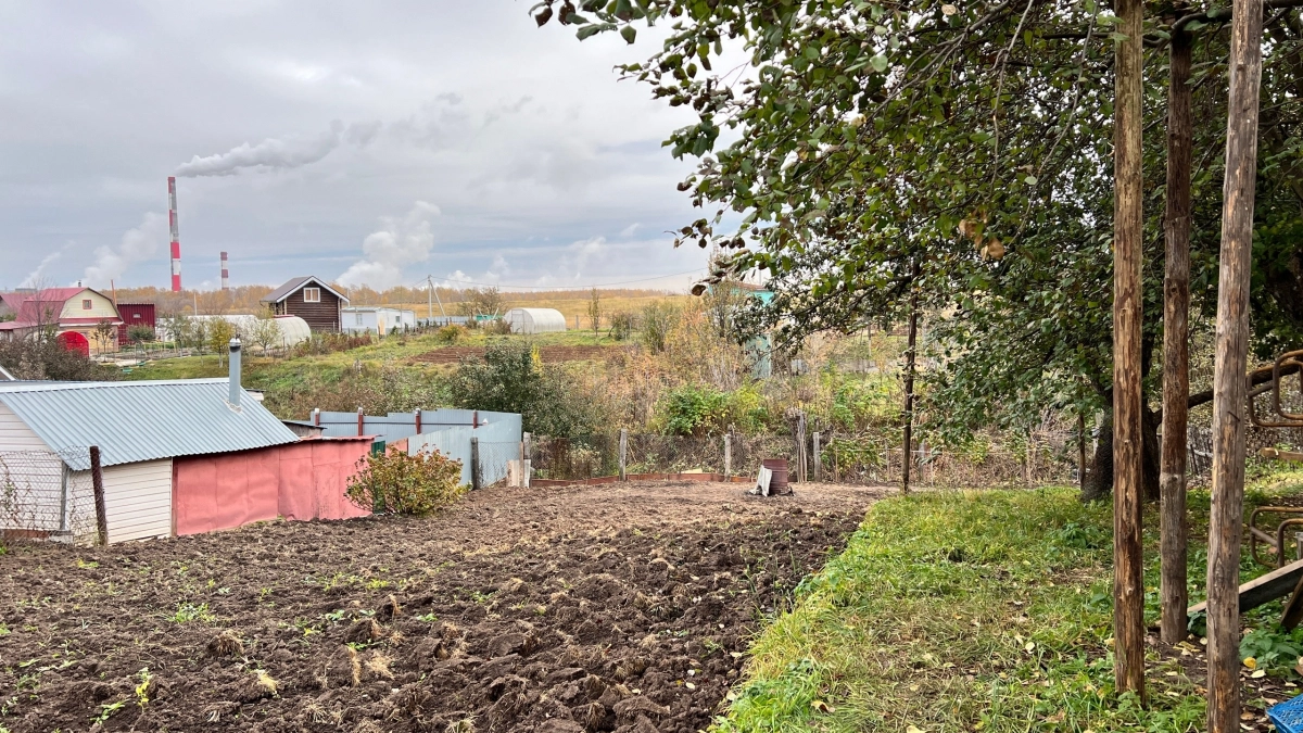 Заброшенный участок зазеленеет за месяц: секрет идеального газона, который знают только опытные дачники