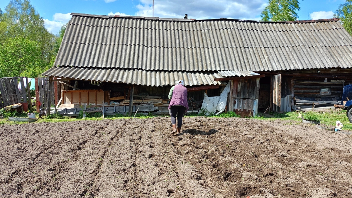 Тихая революция за городом: что на самом деле происходит в деревнях, пока все борются с интернетом